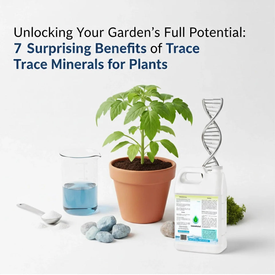 unlocking your garden’s full potential: 7 benefits of trace minerals for plants