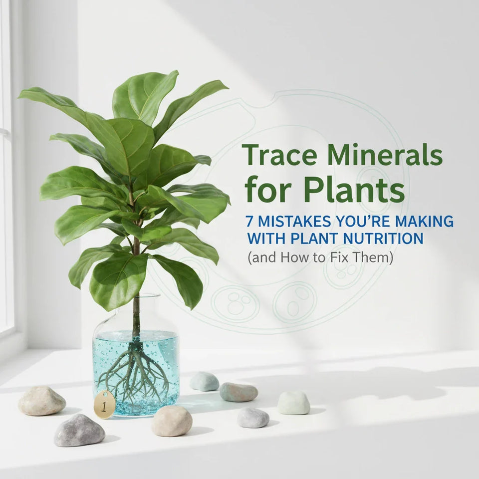 Trace Minerals for Plants: 7 Mistakes You're Making with Plant Nutrition (and How to Fix Them)